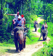 Elephant Ride, Bali Adventure Tours