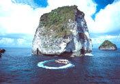 Ocean Rafting - Bali Hai Cruise