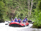 Luscious Jungle, Bali Rafting - The Action Plus
