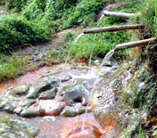 Yeh Panes Hot Spring Bali Trails 4x4 Jeep Adventure