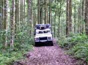Bali Trails 4x4 Jeep Adventure