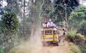 Bali Trails 4x4 Jeep Adventure