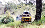 Bali Trails 4x4 Jeep Adventure