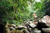 \Batukaru River - Bali Trails 4x4 Jeep Adventure