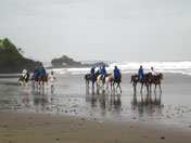 Horse Riding - Bali Tropic Safaris