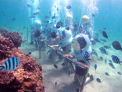 Exciting underwater adventure - Seawalker, Club Aqua