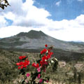 Mount Batur - Kintamani