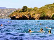 Snorkeling at Lovina