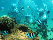 Seawalker at Sanur Beach