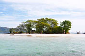 Gili Kedis