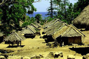 Traditional Village