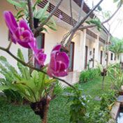 Bali Orchid Spa