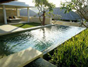 Private Pool, The Bale